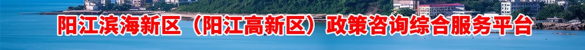 陽江濱海新區(qū)（陽江高新區(qū)）政策咨詢綜合服務(wù)平臺